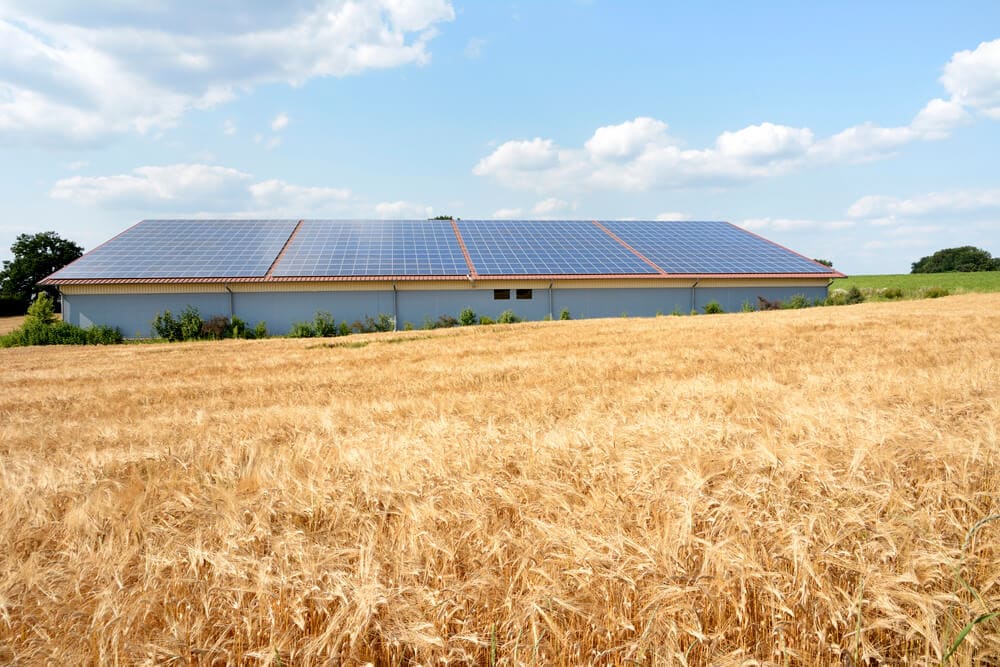 Farm solar (1)