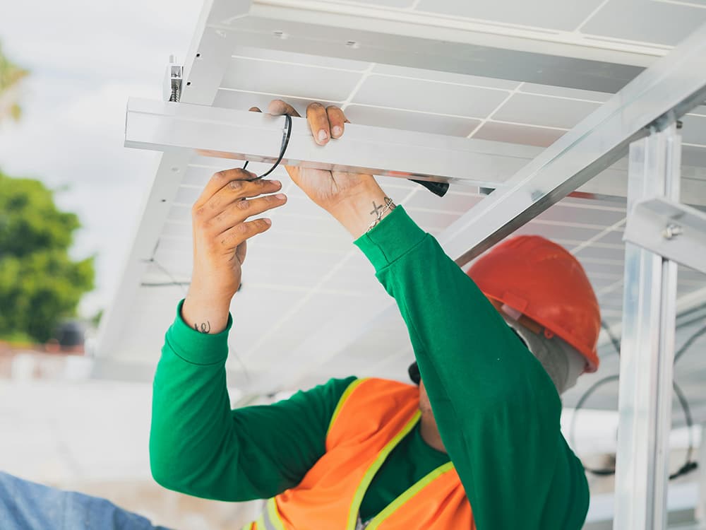 Pexels cristian rojas